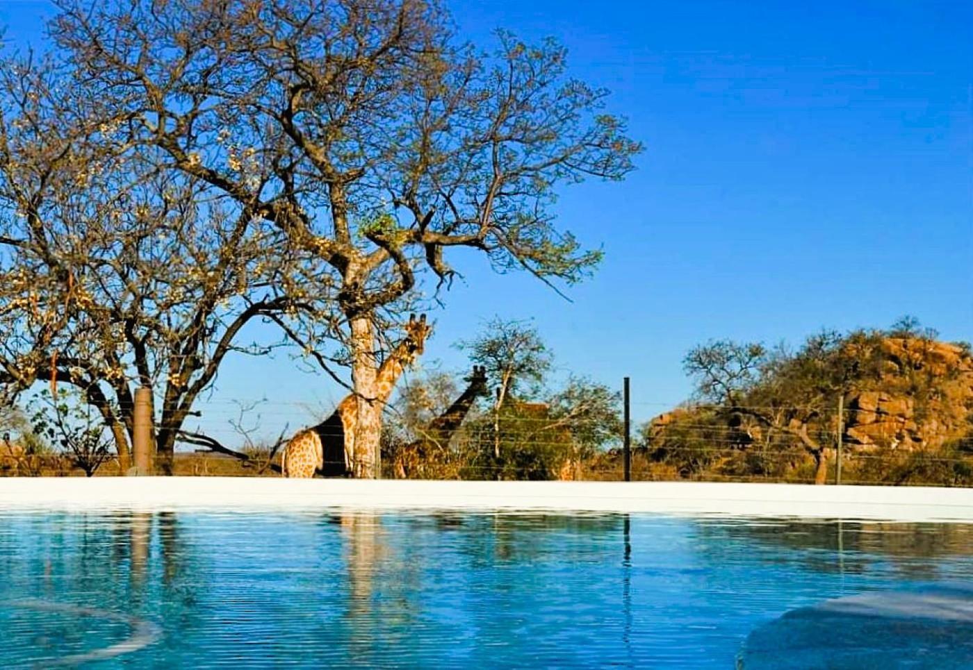 Ngalali Retreat Hotel Grietjie Game Reserve Luaran gambar