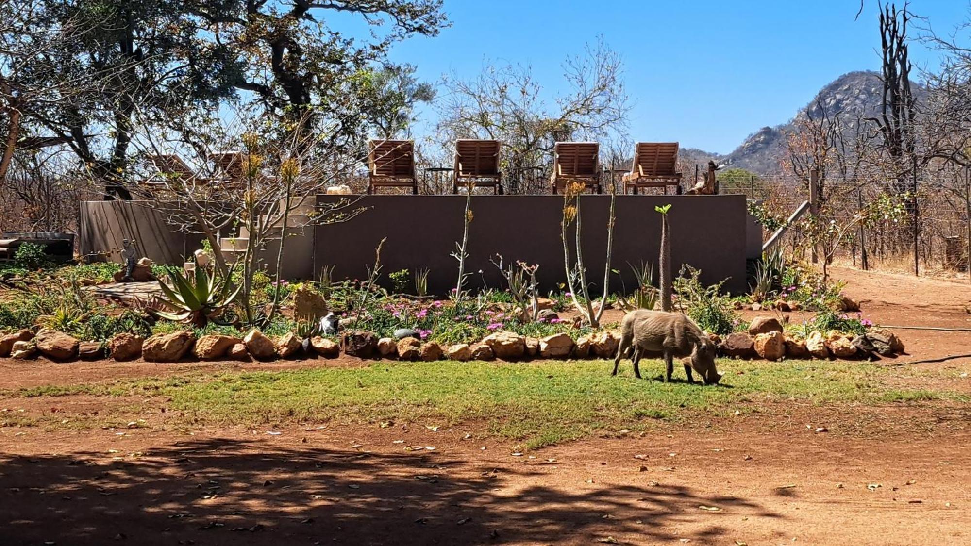 Ngalali Retreat Hotel Grietjie Game Reserve Luaran gambar