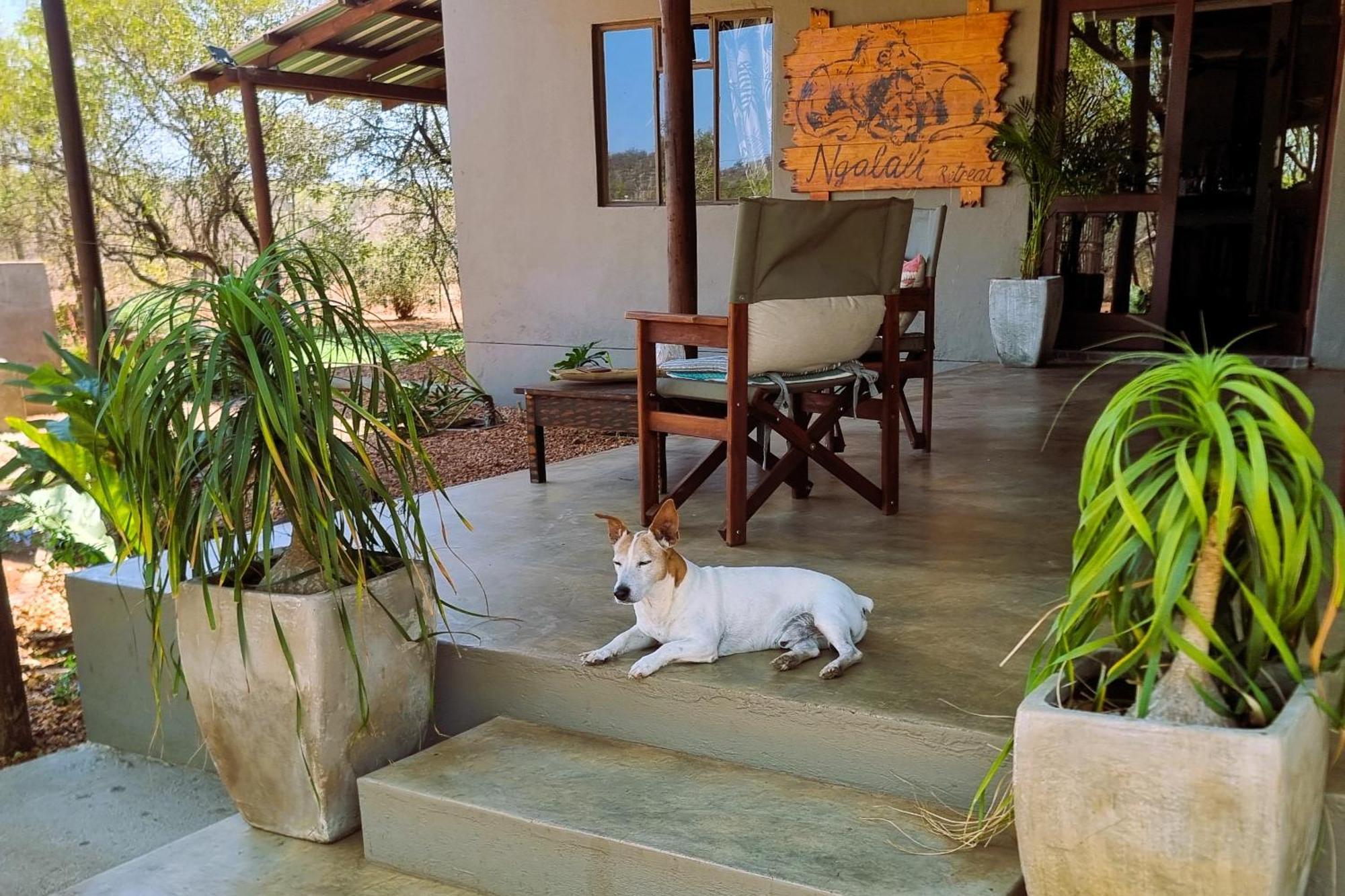 Ngalali Retreat Hotel Grietjie Game Reserve Luaran gambar